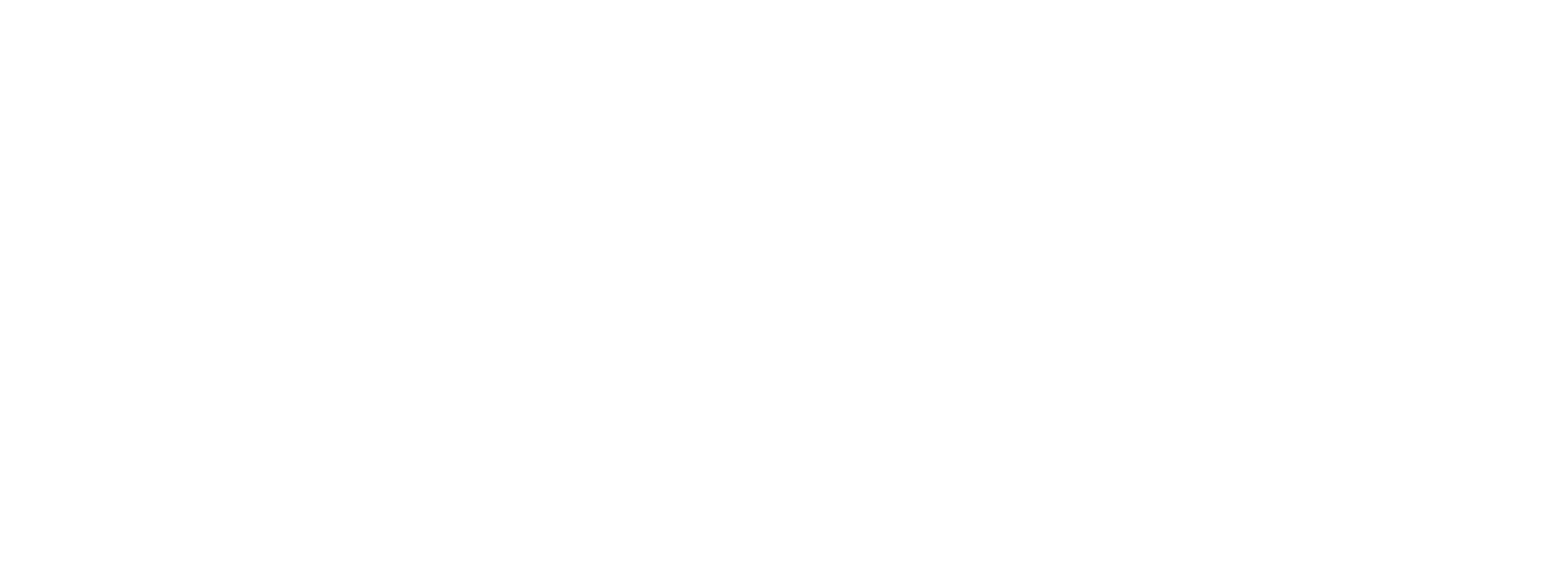 Fährmann Schaprode